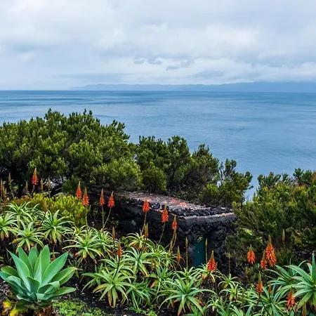 Casa Do Caramba - The Dream House Tatil Evi