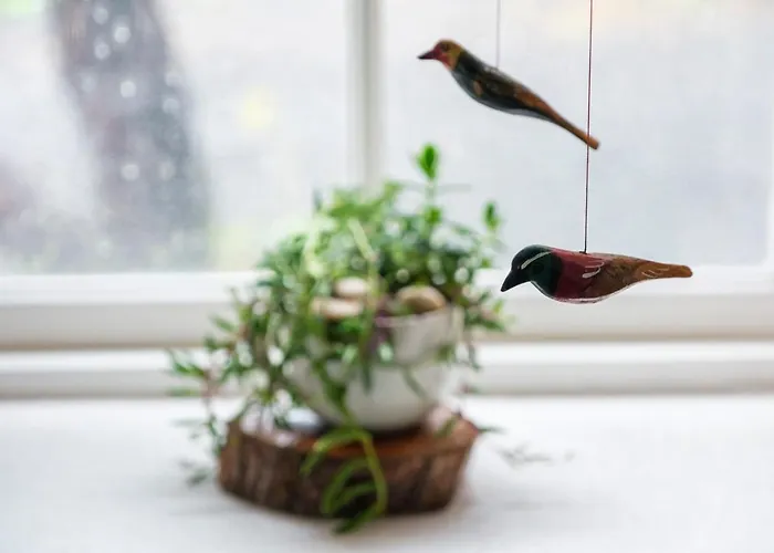 Casa Do Caramba - The Dream House * São Roque do Pico