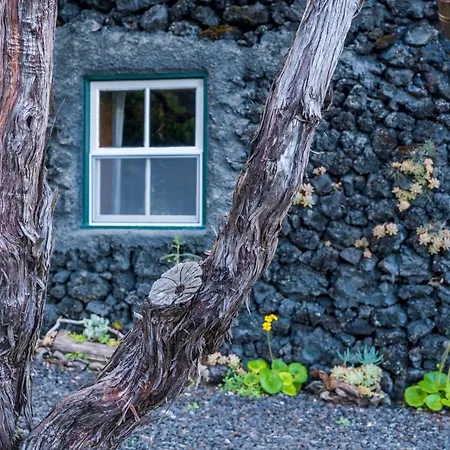 Casa Do Caramba - The Dream House São Roque do Pico