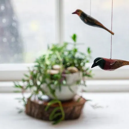 Casa Do Caramba - The Dream House * São Roque do Pico