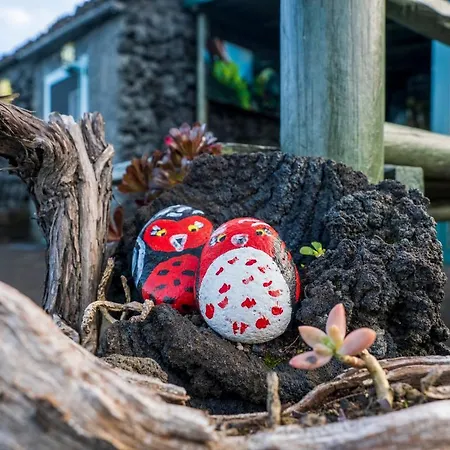 Casa Do Caramba - The Dream House Holiday home *